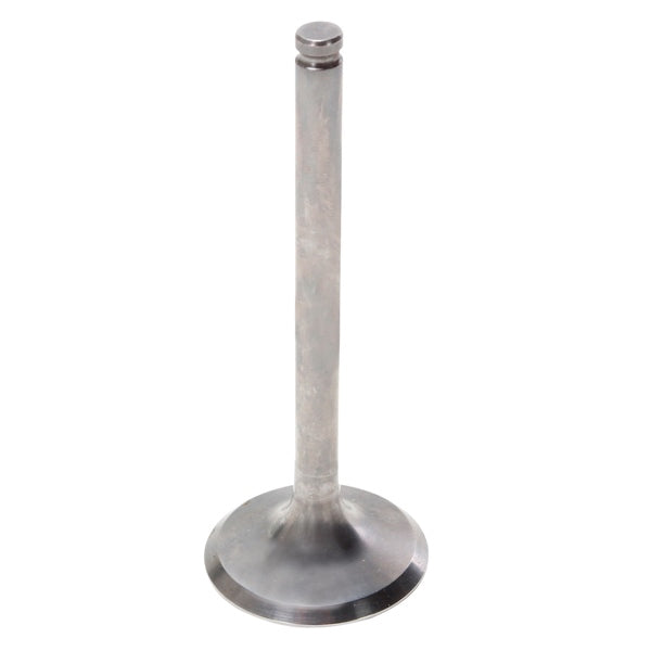 Hot Cams Exhaust Valve - Steel & titanium