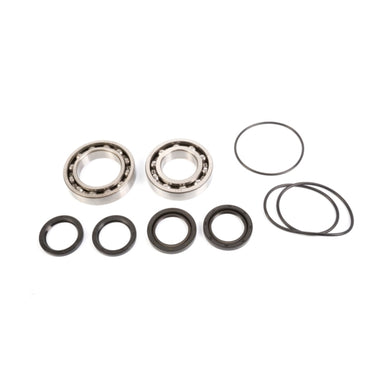 Pivot Works Wheel Bearing Kit Fits Kawasaki