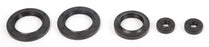 VertexWinderosa Oil Seal Sets Fits Polaris - 059405