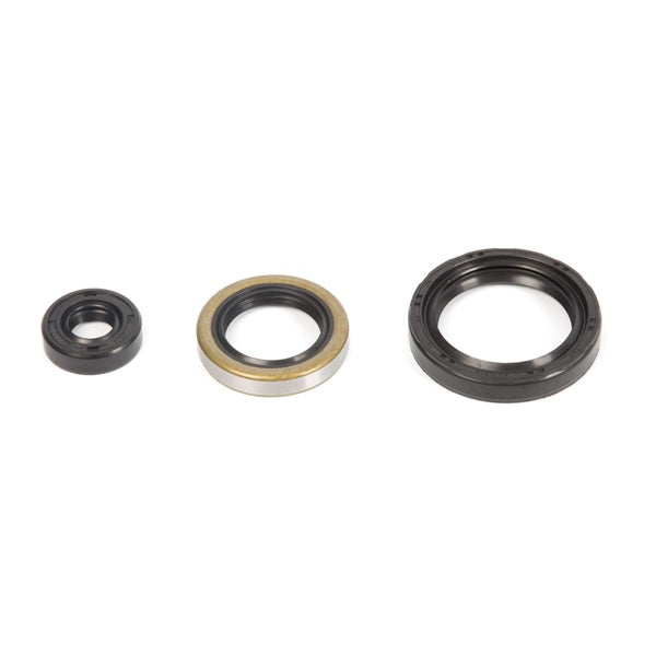 VertexWinderosa Oil Seal Sets Fits Polaris - 059406