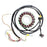 ElectroSport Stator Fits Polaris - 151058