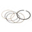 VertexWinderosa Piston Ring Set Fits Polaris