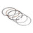 VertexWinderosa Piston Ring Set Fits Honda