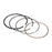 VertexWinderosa Piston Ring Set Fits Polaris