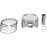 VertexWinderosa Cast Replica Piston Kit Fits Can-am - 1000 cc