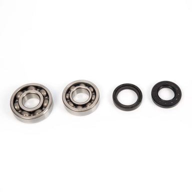 All Balls Crankshaft Bearing and Seal Kit Fits Yamaha - ATV