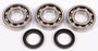 All Balls Crankshaft Bearing and Seal Kit Fits Polaris - ATV, UTV