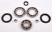 All Balls Differential Bearing & Seal Kit Fits Polaris