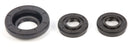 All Balls Differential Seal Kit Fits Honda