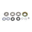 All Balls Differential Bearing & Seal Kit Fits Can-am