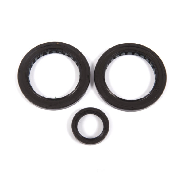 All Balls Differential Seal Kit Fits Polaris