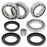 All Balls Differential Bearing & Seal Kit Fits Arctic cat