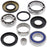 All Balls Differential Bearing & Seal Kit Fits Suzuki