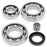 All Balls Differential Bearing & Seal Kit Fits Kawasaki