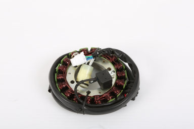 ElectroSport Stator Fits Yamaha - 215057