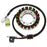 ElectroSport Stator Fits Yamaha - 215774