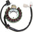 ElectroSport Stator Fits Yamaha - 215795