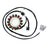 ElectroSport Stator Fits Yamaha - 215973