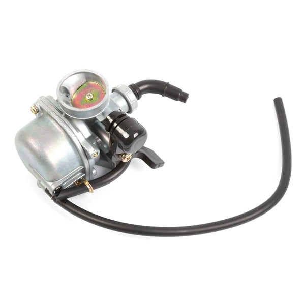 Outside Distributing Assembly Carburetor for 19 mm 4-Stroke Engine 4 Stroke - Horizontal style