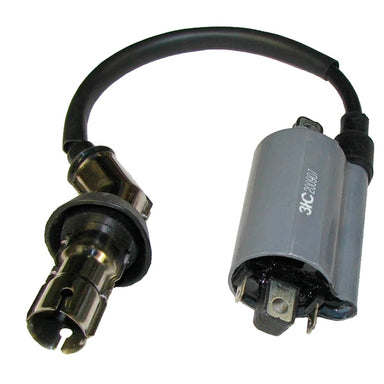 Outside Distributing External Ignition Coil 217488