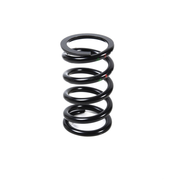 CVTech Pulley Spring