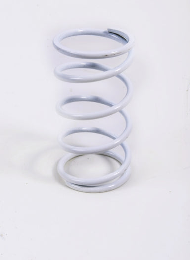 EPI Primary Clutch Spring (Drive)