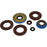 VertexWinderosa Oil Seal Sets Fits Polaris - 332957