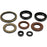 VertexWinderosa Oil Seal Sets Fits Arctic cat - 332961