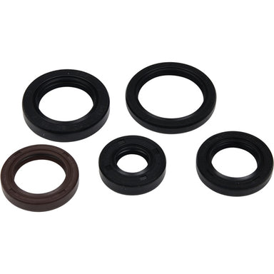 VertexWinderosa Oil Seal Sets Fits Polaris - 347152