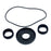 All Balls Differential Seal Kit Fits Polaris