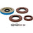 All Balls Differential Seal Kit Fits Polaris