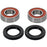 Pivot Works Premium Wheel Bearing Kit Fits Arctic cat