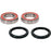 Pivot Works Premium Wheel Bearing Kit Fits Arctic cat