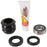 Pivot Works Steering Stem Bearing Kit