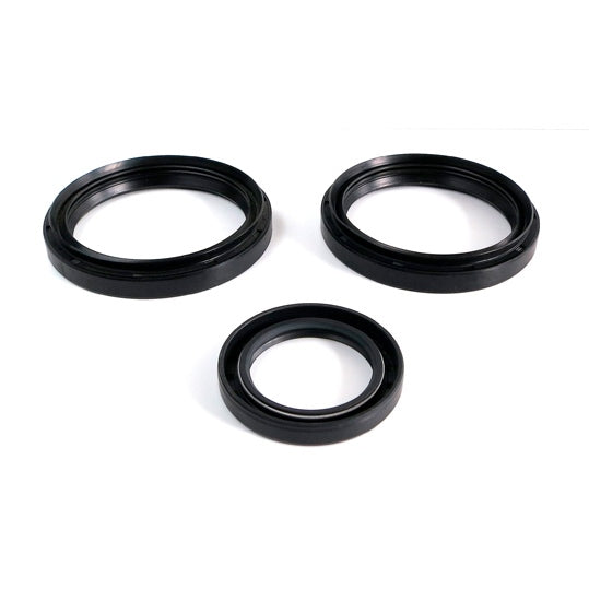 EPI Differential Seal Kit Fits Arctic cat